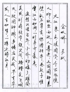 image004