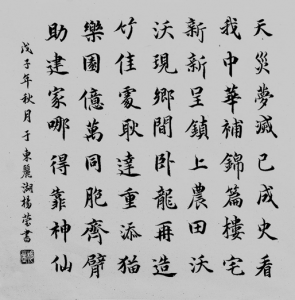 image005