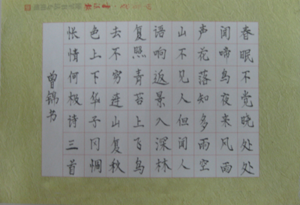 image006